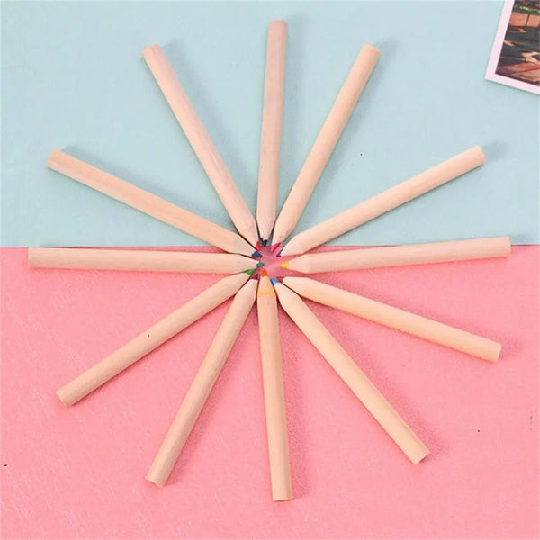 School Supplies Barreled Kawaii Child Drawing Art 12 Color Pencil